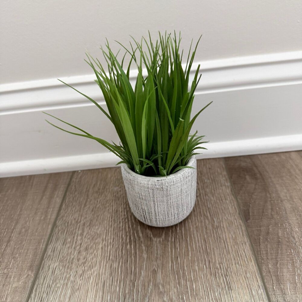 Boutique Faux Plant